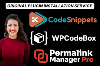 install code snippets pro, wp codebox pro, permalink manager pro  updatable