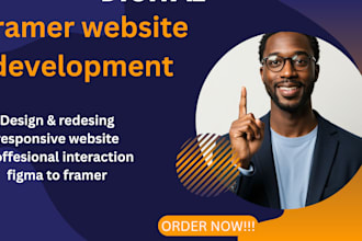 setup and build a professional framer website