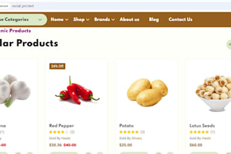 develop  multi vendor ecommerce store  from scratch sell buy products online