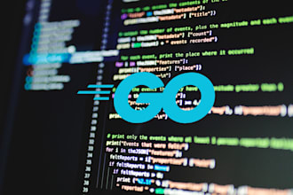 develop high performance golang application or project