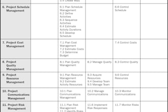 teach project mangement 49 processes 10 knowledge areas