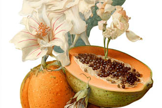 draw botanical and animal designs and patterns for you