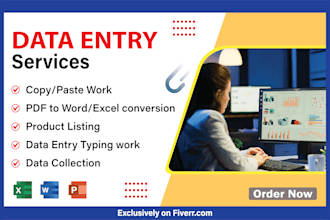 do data entry excel typing service copy paste ms word typing
