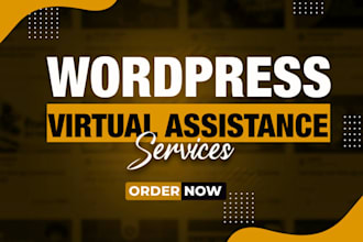 be your wordpress virtual assistant