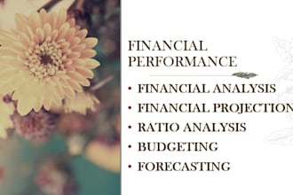 provide financial analysis, projection,ratio analysis, budgeting and forecasting