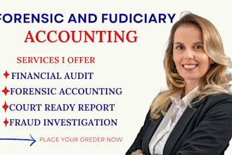review, perform forensic accounting, financial audits, investigate fraud as CPA