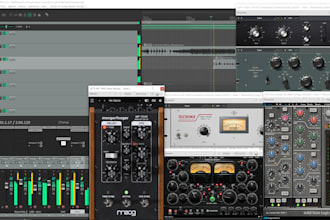 mix audio for the voice to sit confortable