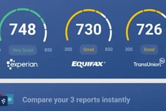 fix reports, remove inquiries, boost score, charge off,late payment, collections