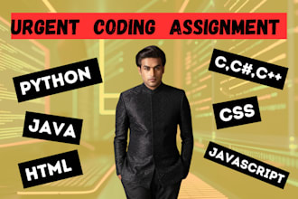 do urgent coding assignment in python java css html and c