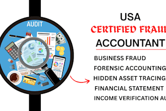 perform forensic account, fraud investigation, hidden asset tracing
