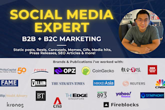 craft expert finance and fintech social media content for b2b and b2c