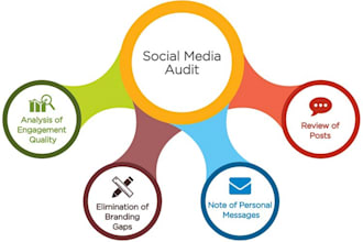 perform a professional social media audit and growth strategy for your brand