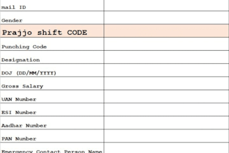 excel data entry and accounting task