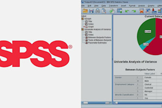 do advance statistical data analysis using minitab, spss, r studio, python