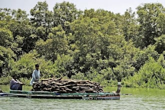 conduct nature based solutions feasibility planning
