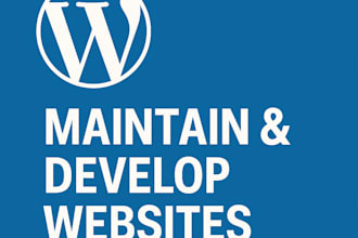 wordpress site maintenance and issue resolution