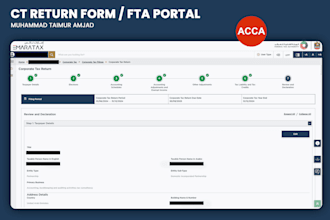 provide uae ct filing, vat services, and tax consultancy