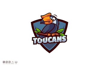 make a colorful and unique toucan logo for your brand or business