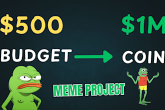 develop meme coin smart contract and website for solana bsc or ethereum