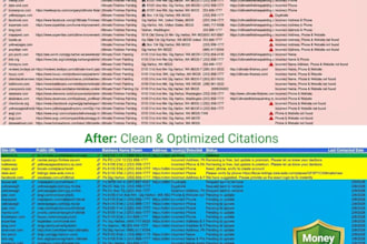 do local citation audit cleanup and duplicate listing fix