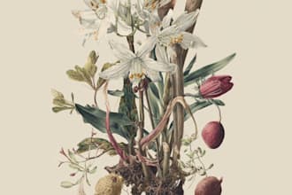 paint watercolour botanical illustrations