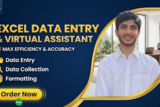 do fastest accurate manual data entry and documents data typing
