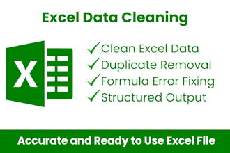 fix excel errors, clean data, and format reports accurately