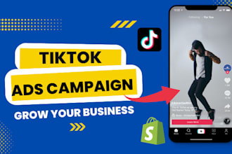 run tik tok ads, tik tok ads manager, and tiktok marketing