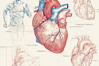 draw exercise, medical and anatomy illustrations