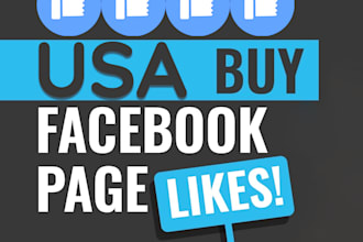 do facebook page promotion with usa followers boosting