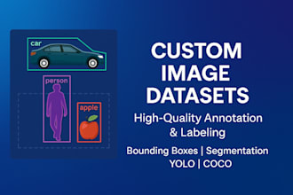 provide custom image datasets with accurate annotation for al