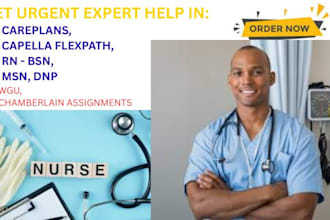 do bsn, msn, dnp nursing, capella, umpi, gcu and wgu assessment
