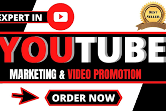 do organic followers and high quality youtube promotion