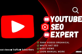 your professional youtube video content SEO ranking expert