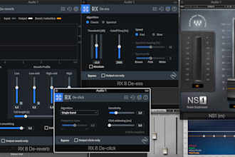 professionally reduce noise and clean up your audio