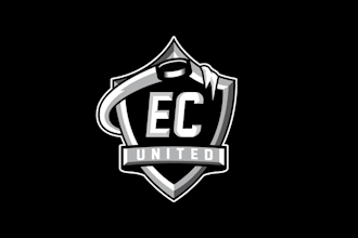 design beautiful new hockey team logo