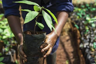 plant a tree in kenya with your name tag