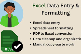do excel data entry, formatting, and cleanup professionally