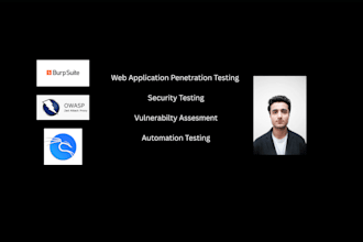 perform penetration testing of web applications with detailed report