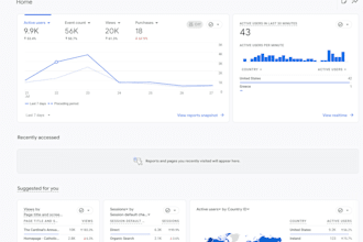 manage website content and analytics
