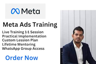 teach facebook ads, meta ads training, coaching, consulting