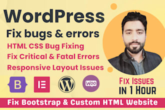 fix wordpress issues ,fix wordpress errors, bugs, wordpress help