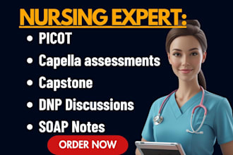do capella rn to bsn