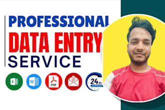 do professionally excel data entry with full accuracy