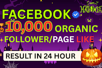 increase social media followers