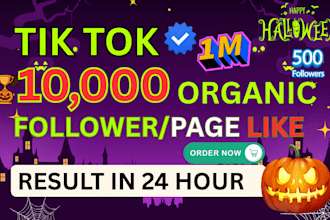 increase social media followers