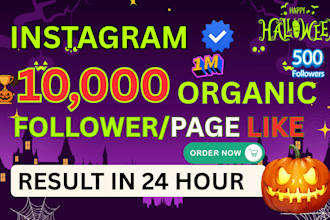 increase social media followers