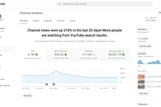 professionally manage and grow your youtube channel