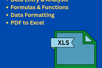 do professional data entry and excel spreadsheet work