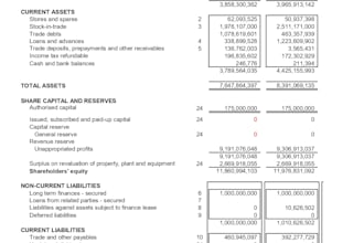 prepare profit and loss statement and balance sheet
